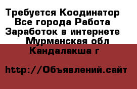 Требуется Коодинатор - Все города Работа » Заработок в интернете   . Мурманская обл.,Кандалакша г.